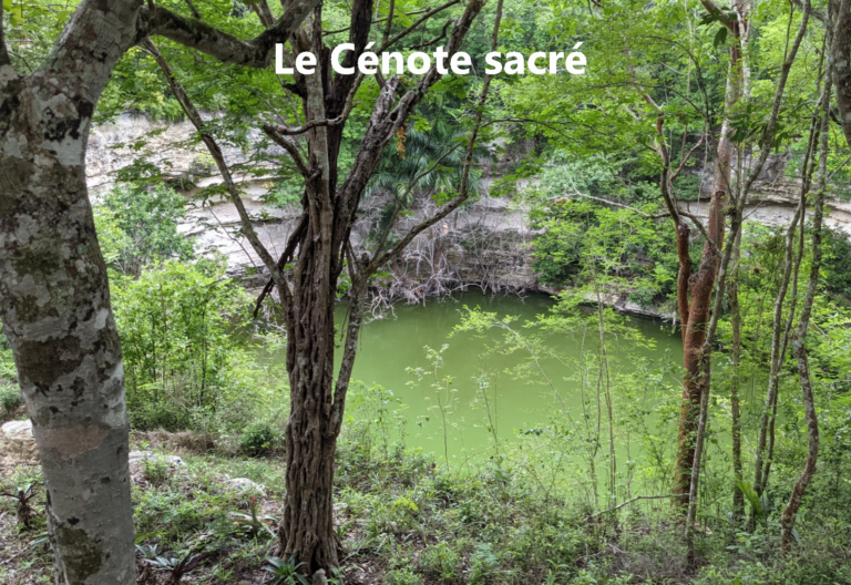 cenote