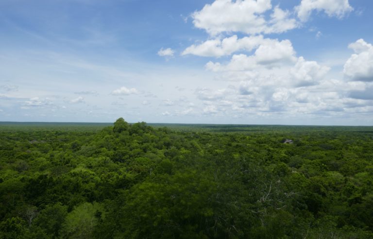 Calakmul 10