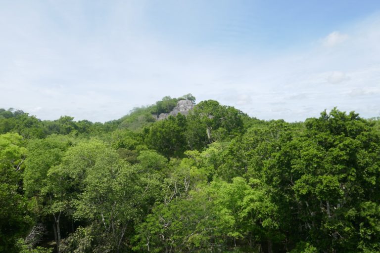 Calakmul 7