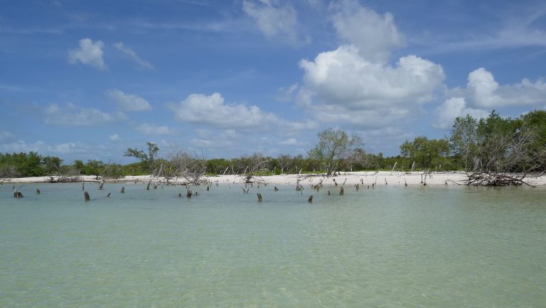 HOLBOX30