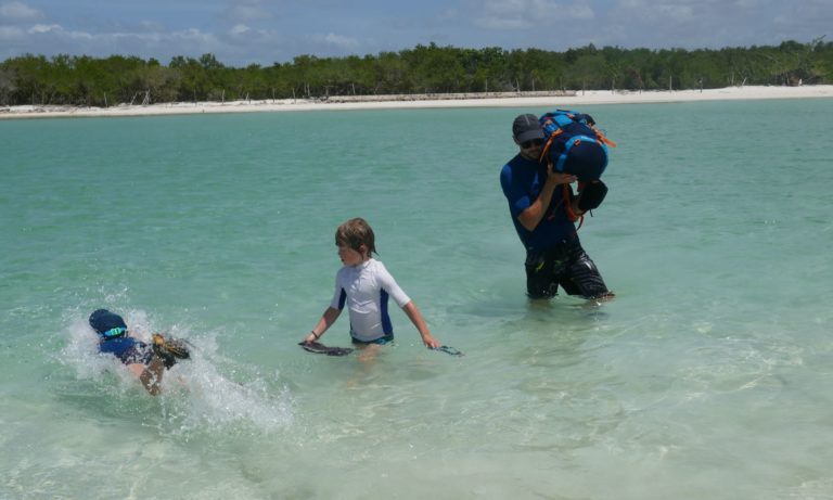 holbox 8