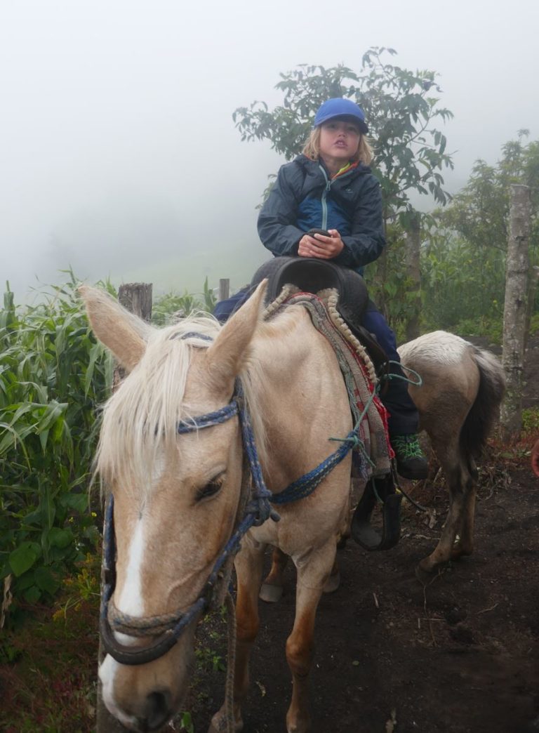 VOLCAN 2