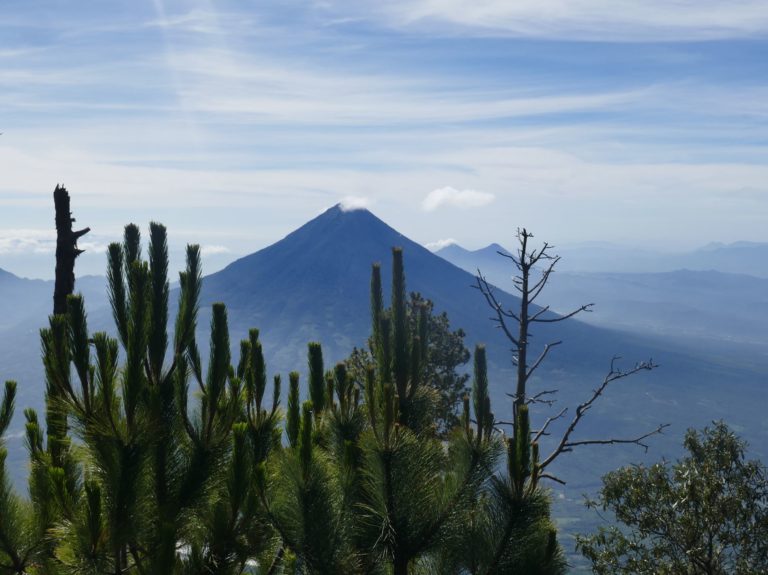 VOLCAN 22