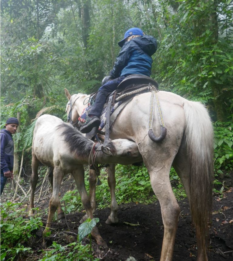 VOLCAN 3