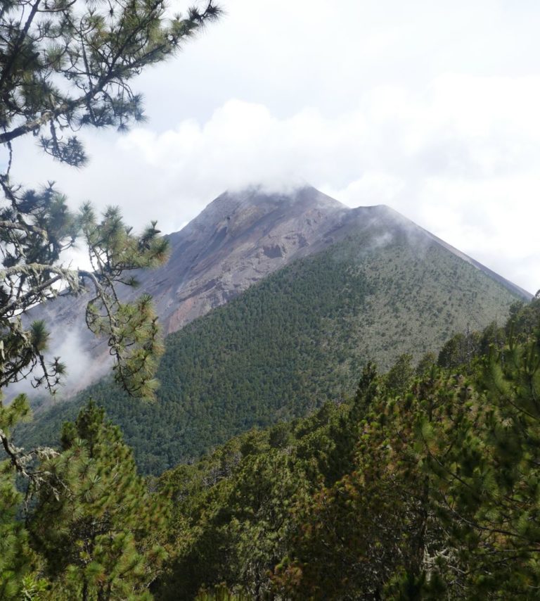 VOLCAN 8