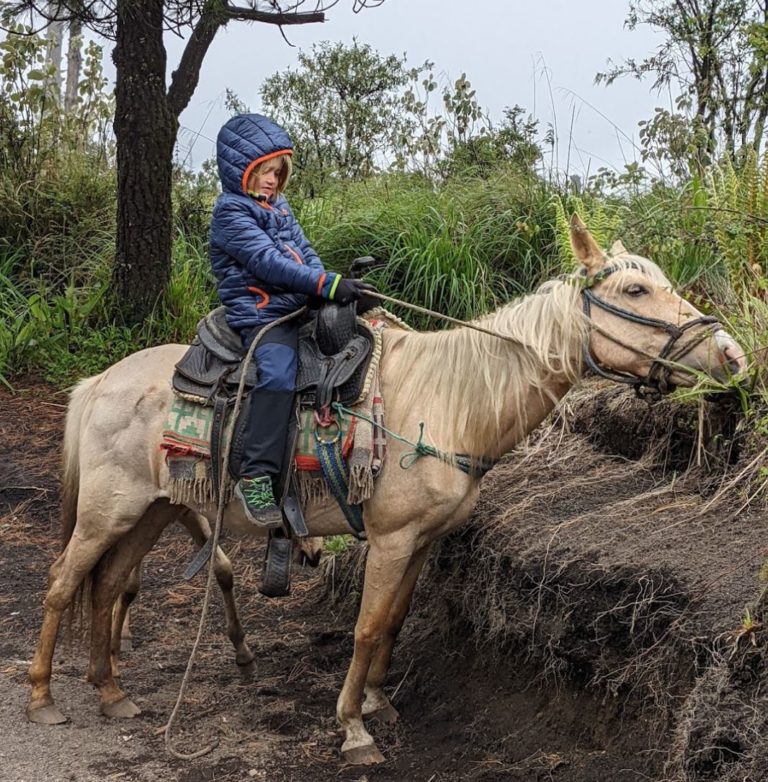 VOLCAN S