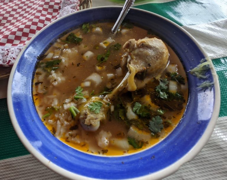 Sopa de pollo 3