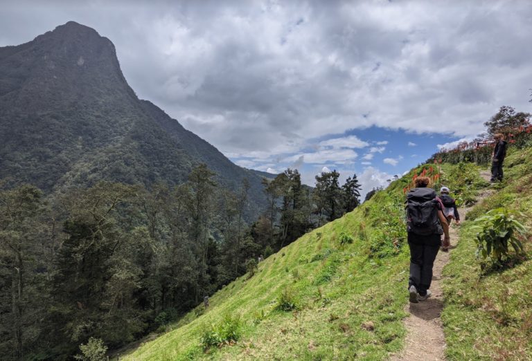 COCORA 16