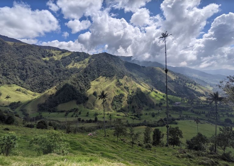 COCORA 18