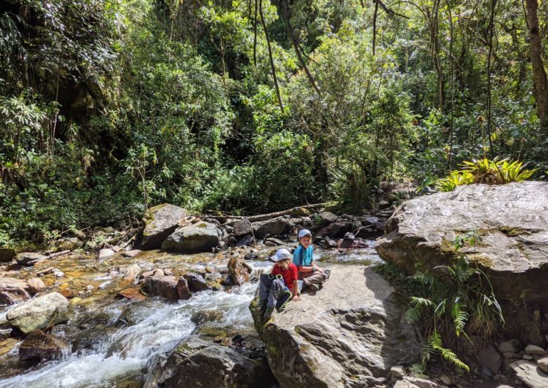 COCORA10