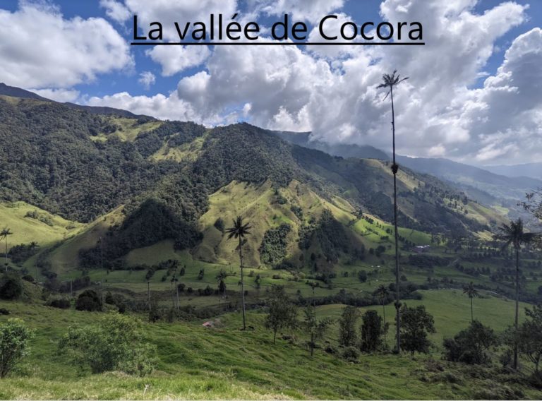 La vallée de Cocora