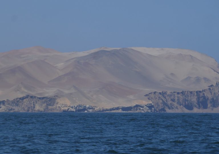 Paracas 12