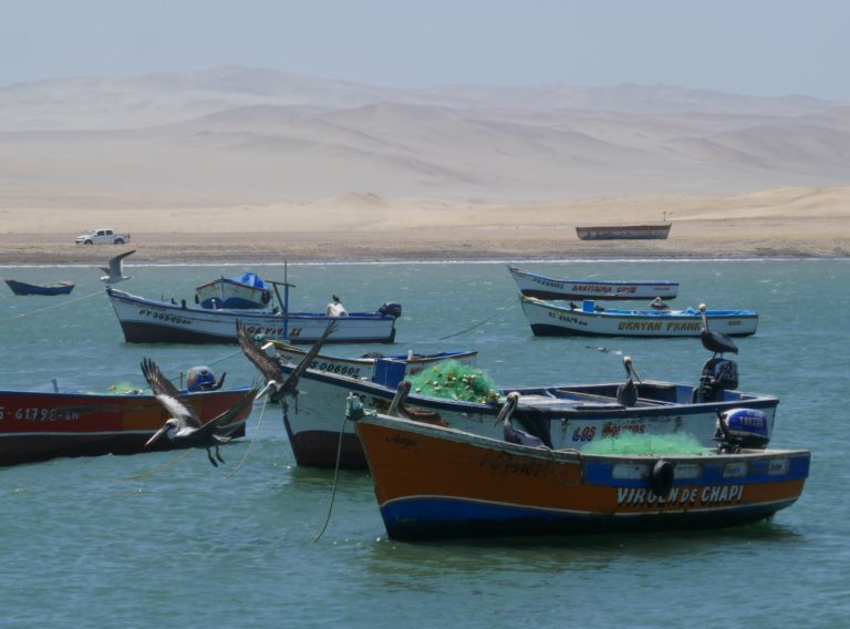 Paracas 15