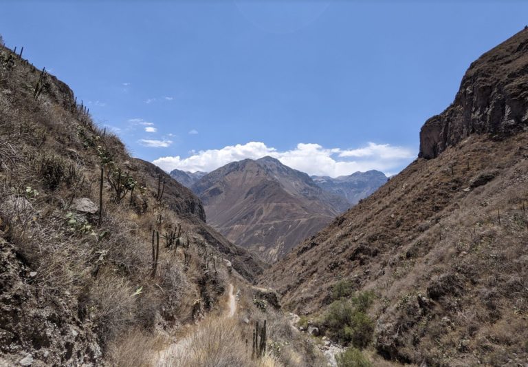 COLCA9