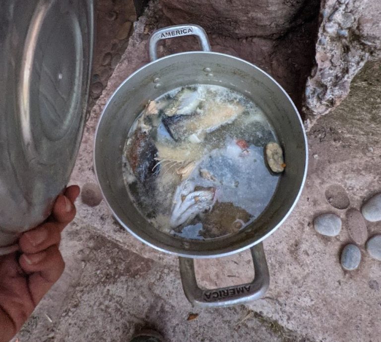 Ceviche Titicaca