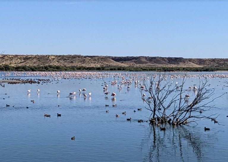 PUERTOMADRYN1