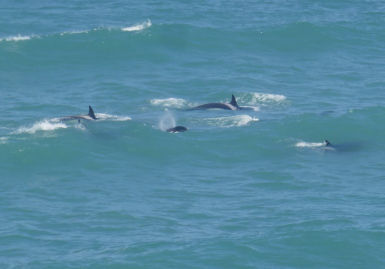 PUERTOMADRYN23e