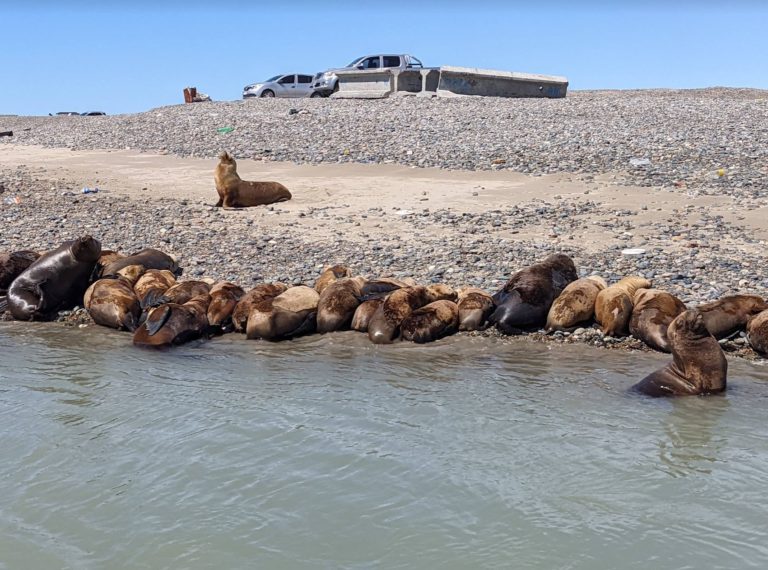 PUERTOMADRYN8