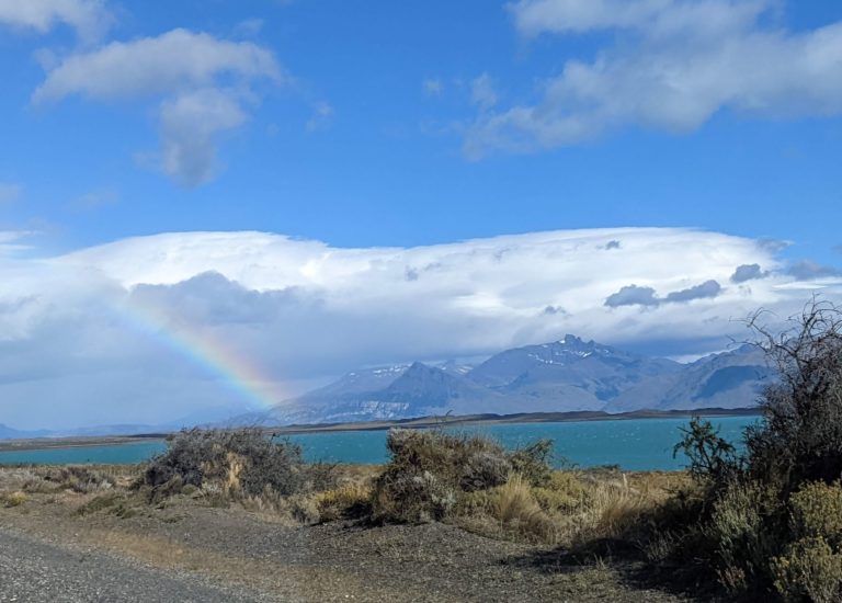 CALAFATE