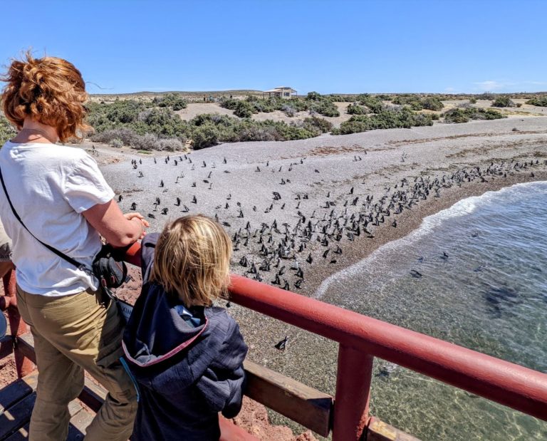 PUERTOMADRYN3