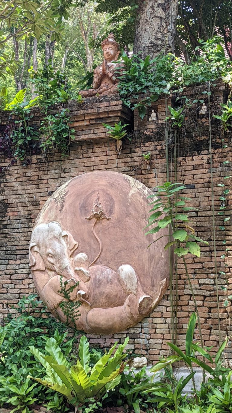 CHANGMAI15